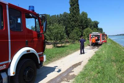 Flaechenbrand fordert die Feuerwehr in Neuburg